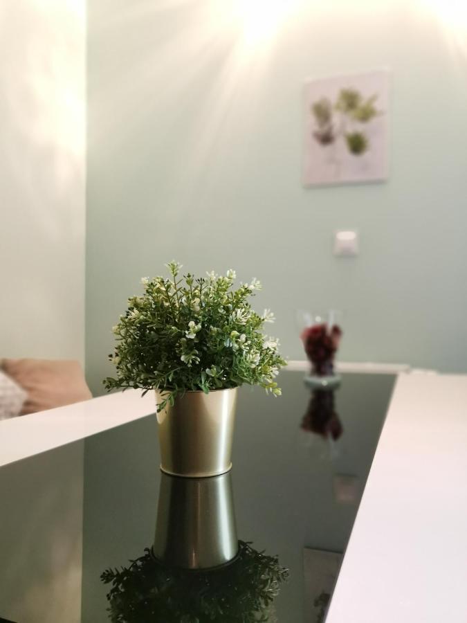 Maglonia Apartment Wroclaw Ngoại thất bức ảnh